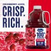 Ocean Spray 100% Juice, 10 Ounce Bottle