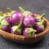 Terung Bulat (Round Eggplant)