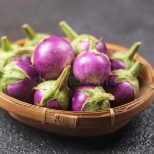 Terung Bulat (Round Eggplant)